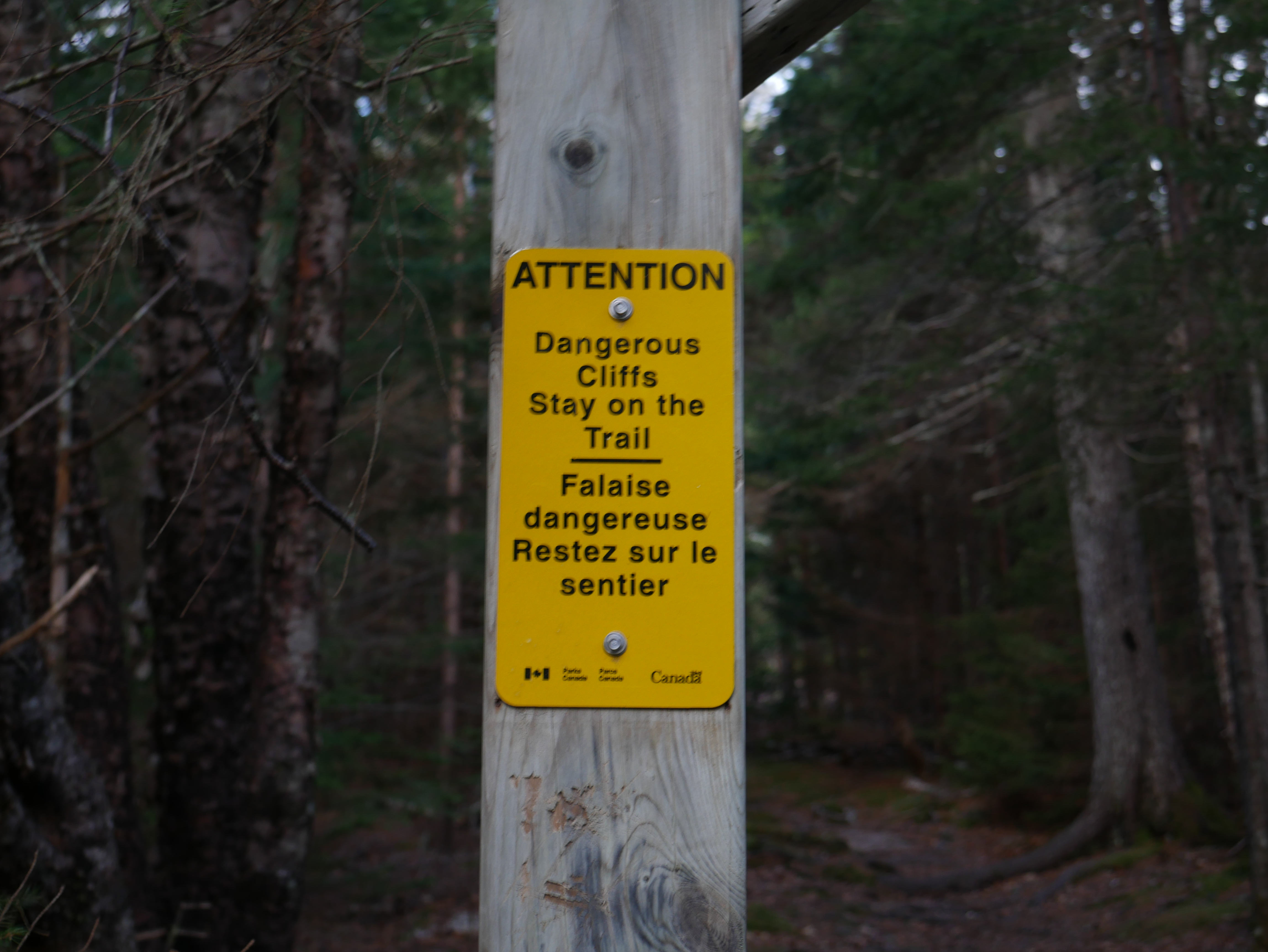 dangerous cliffs?